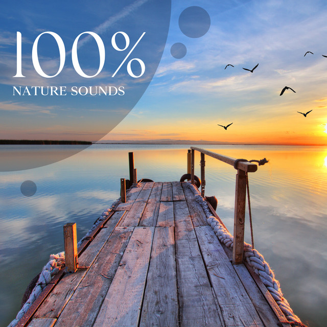 100% Nature Sounds: 1 Hours of Relaxing Natural Ambiences for Meditation, Awakening and Yoga cover