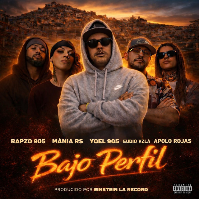 Bajo perfil