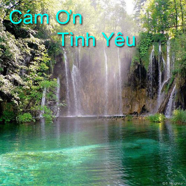 Cảm Ơn Tình Yêu