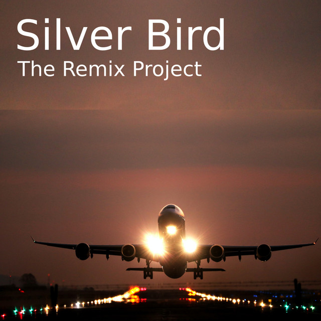 Silver Bird - Radio Edit