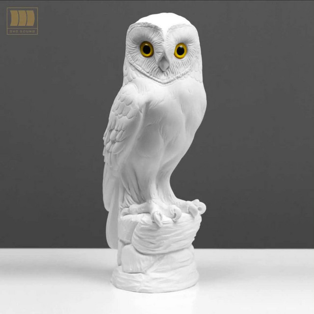 undefined album image