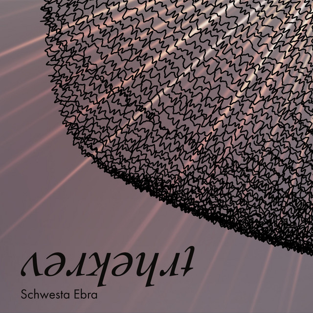 Verkehrt cover