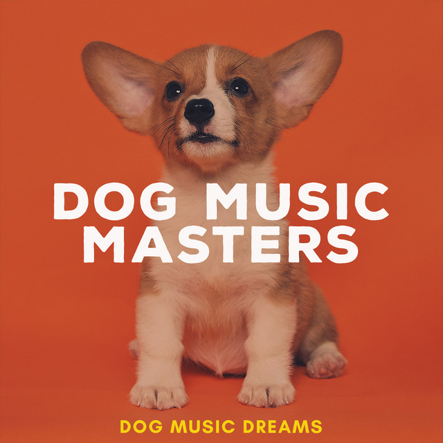 Dog Music Masters - Album by Dog Music Dreams | Spotify
