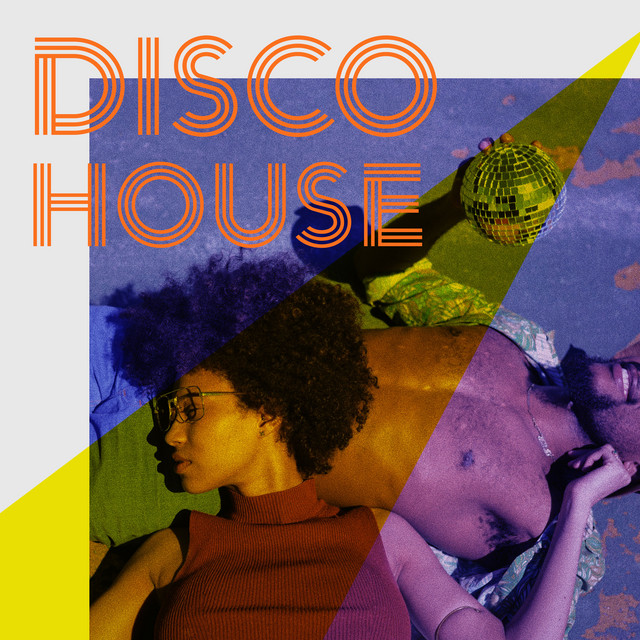 Disco House cover art