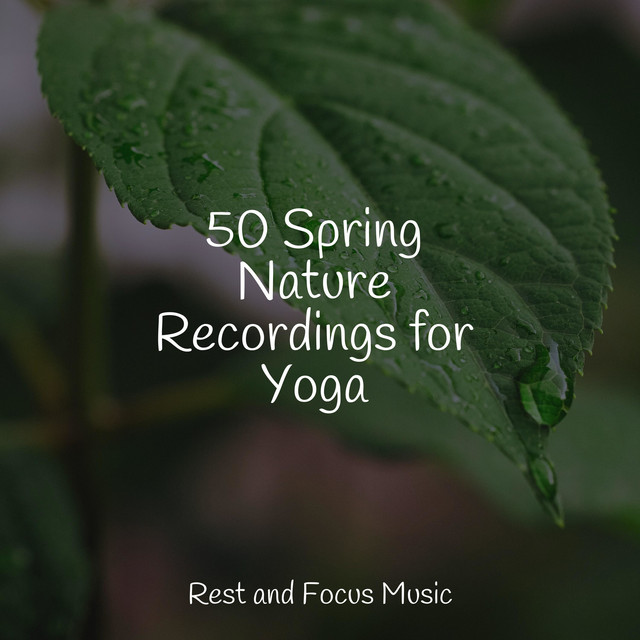50 Spring Nature Recordings for Yoga - Album by Yoga Namaste | Spotify