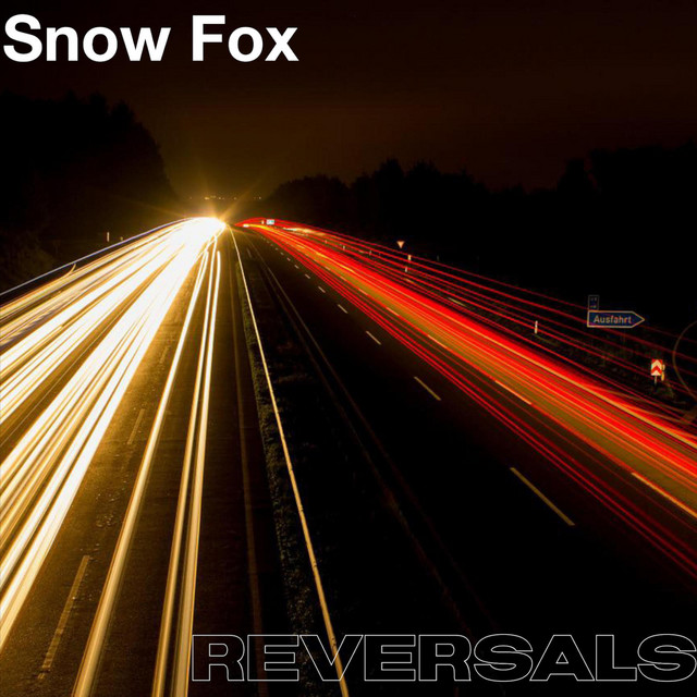 Snow Fox