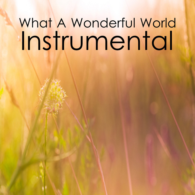 What a Wonderful World Instrumental Song Album by Instrumental Music
