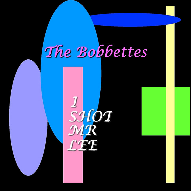 I Shot Mr Lee cover art