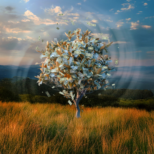 Decoding Abundance & Wealth