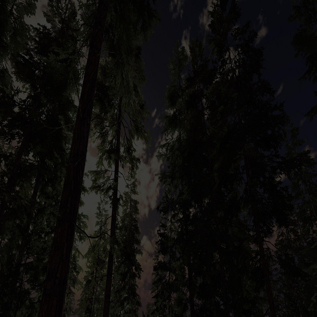 Withering Night