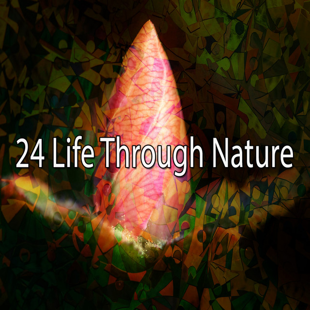 24 Life Through Nature - Album by Sleep Sounds of Nature | Spotify