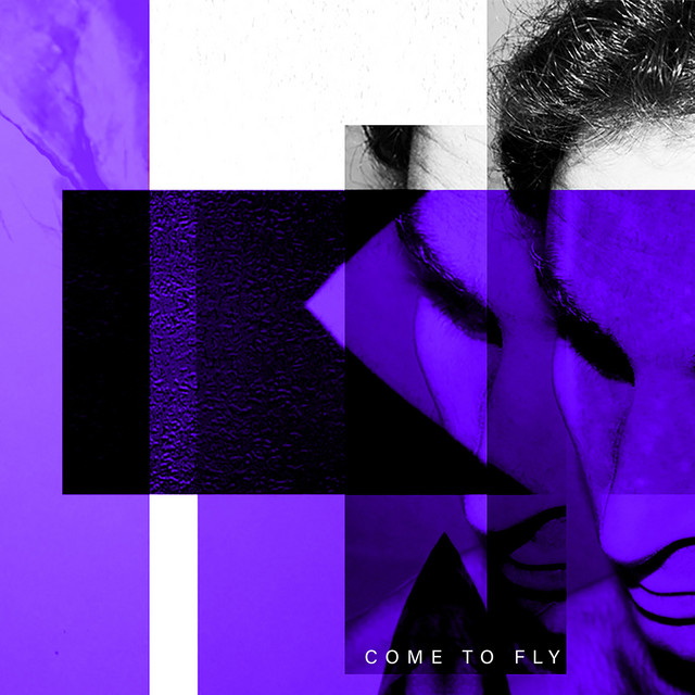 Come to Fly cover