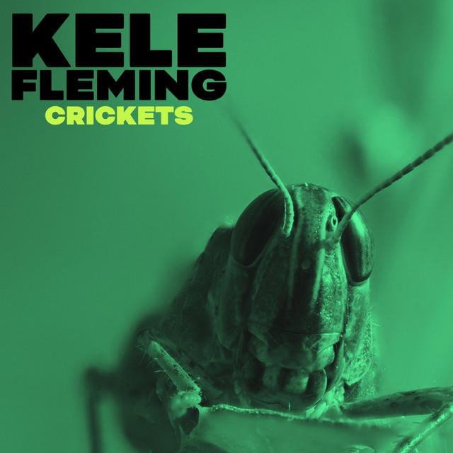 Crickets cover art