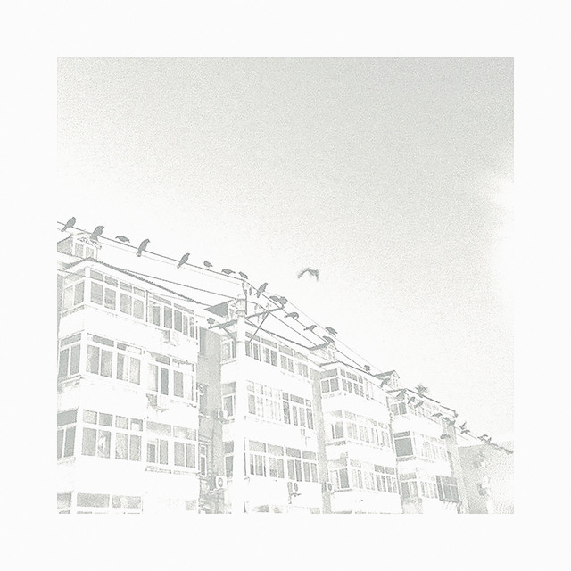 Dentro del Exterior album art