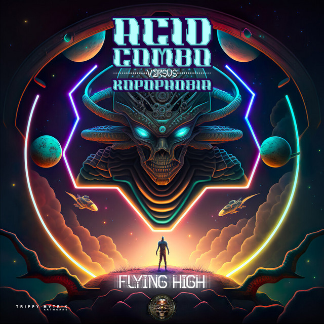 Flying High cover