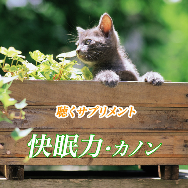 パッフェルベルのカノン Song By パッフェルベル ハーモニー ストリングス オーケストラ Spotify