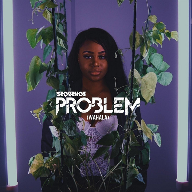 Problem cover art