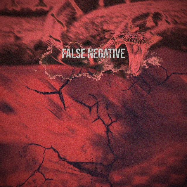 False Negative cover art