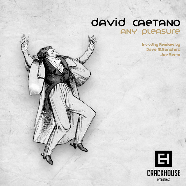 Any Pleasure - Dave M.Sanchez Remix cover art