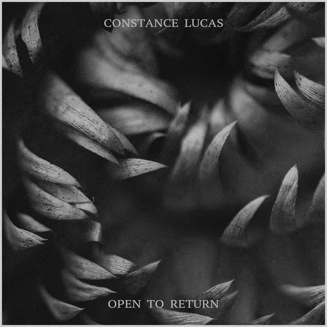 Open to return