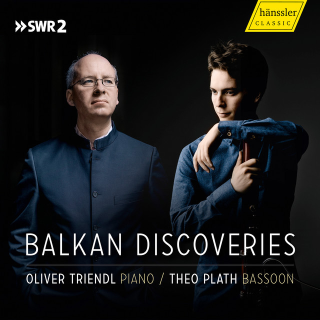 Bassoon Sonata, Op. 76: I. Allegro non troppo