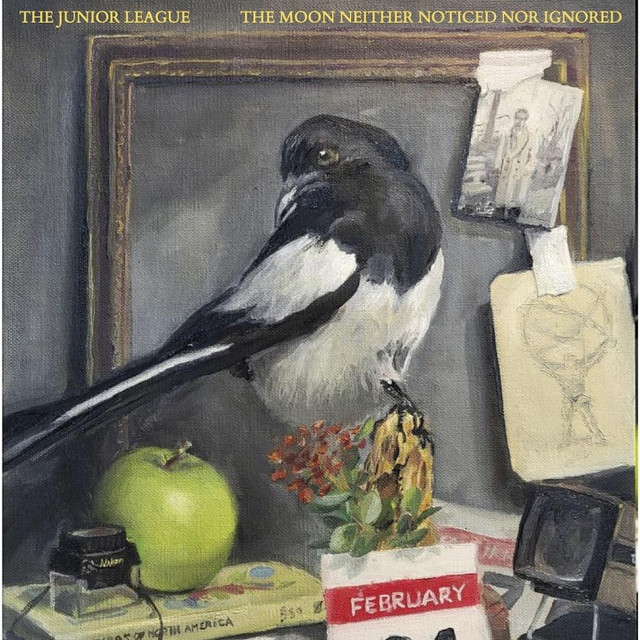 The Moon Neither Noticed nor Ignored cover