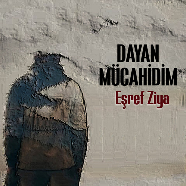 Dayan Mücahidim cover art