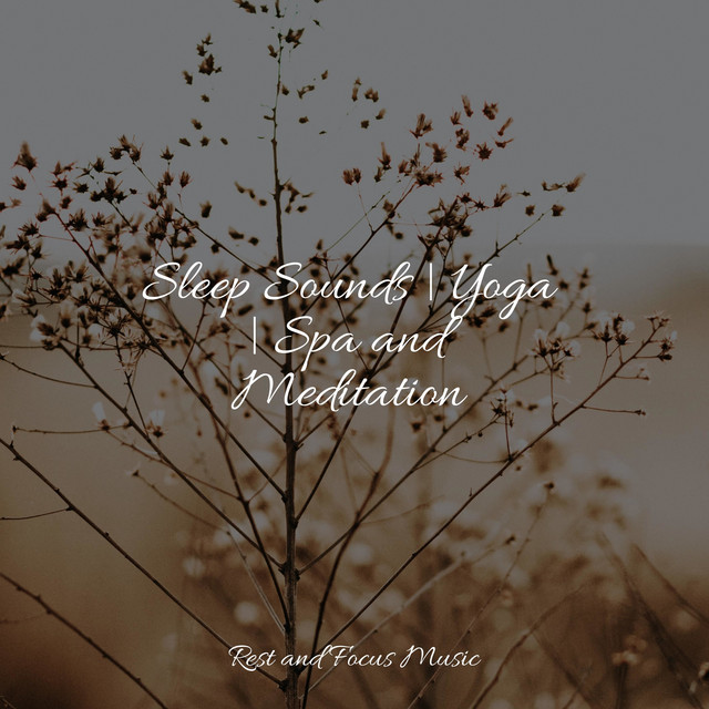 Sleep Sounds | Yoga | Spa and Meditation - Album by Yoga Music | Spotify