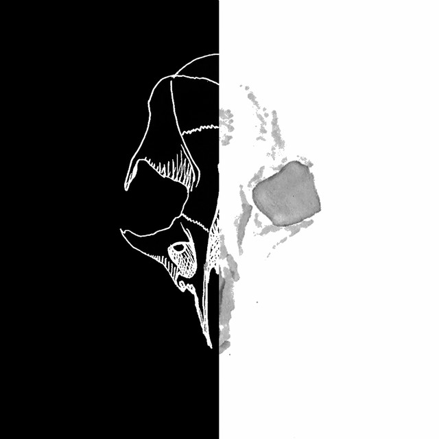 White cover art