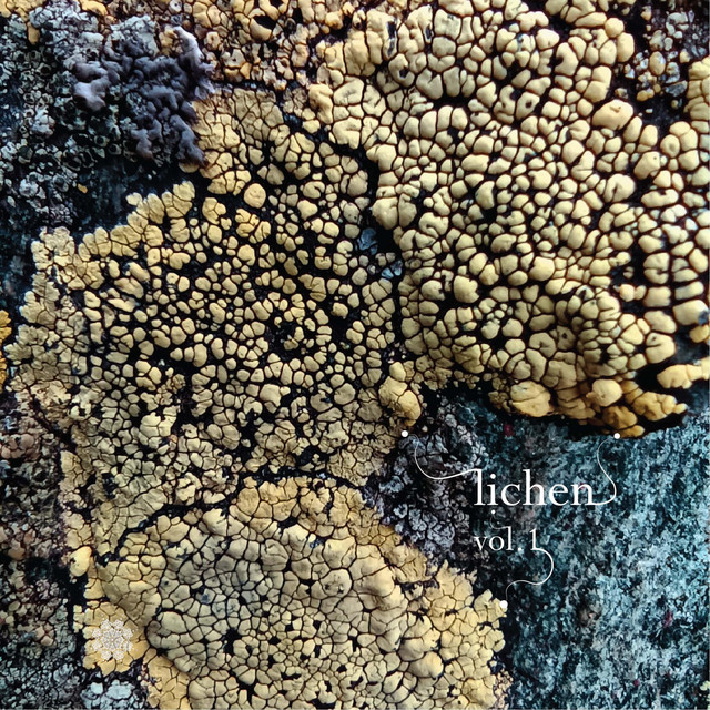 Lichen, Vol. 1 {Algae} cover art