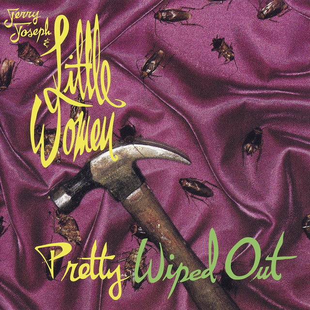 Pretty Wiped Out cover art