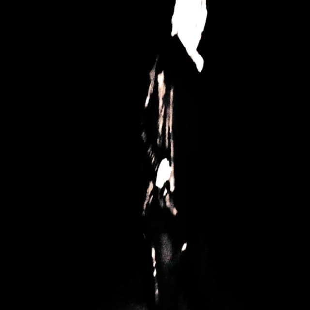 chrysalis cover art