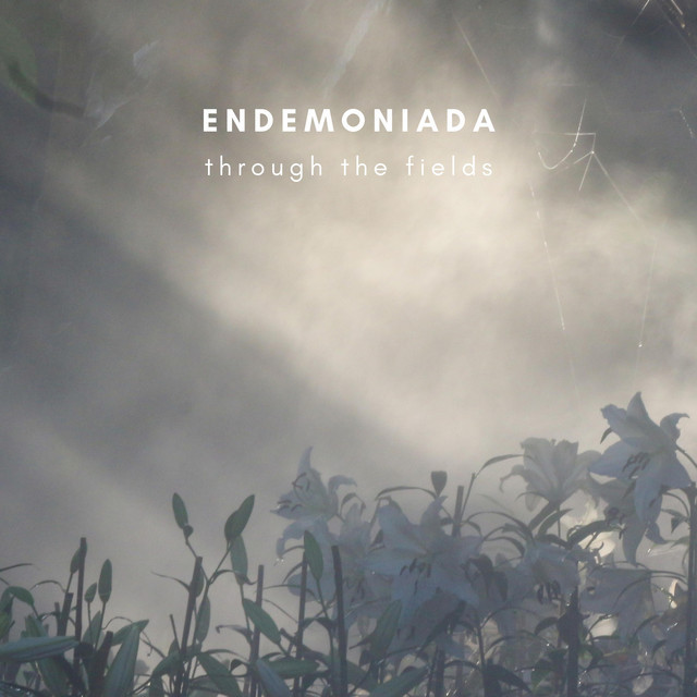 Through The Fields by Endemoniada
