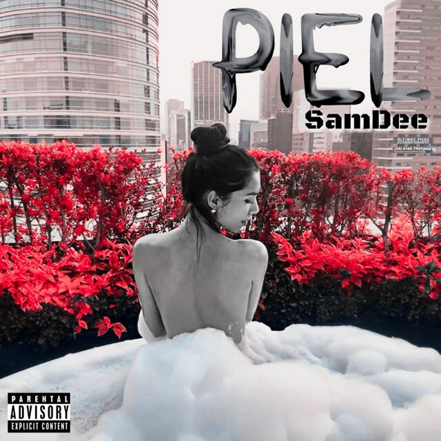 Piel cover art