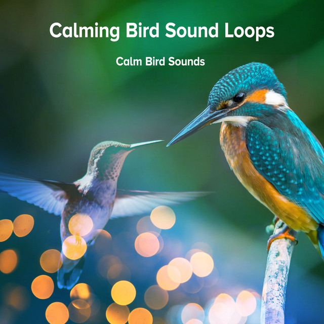 Calming Bird Sound Loops - Album by Calm Bird Sounds | Spotify