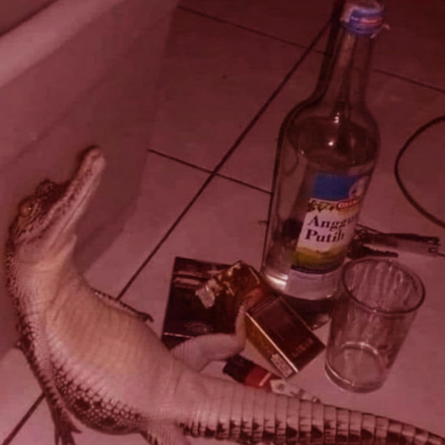 Crocodile tears