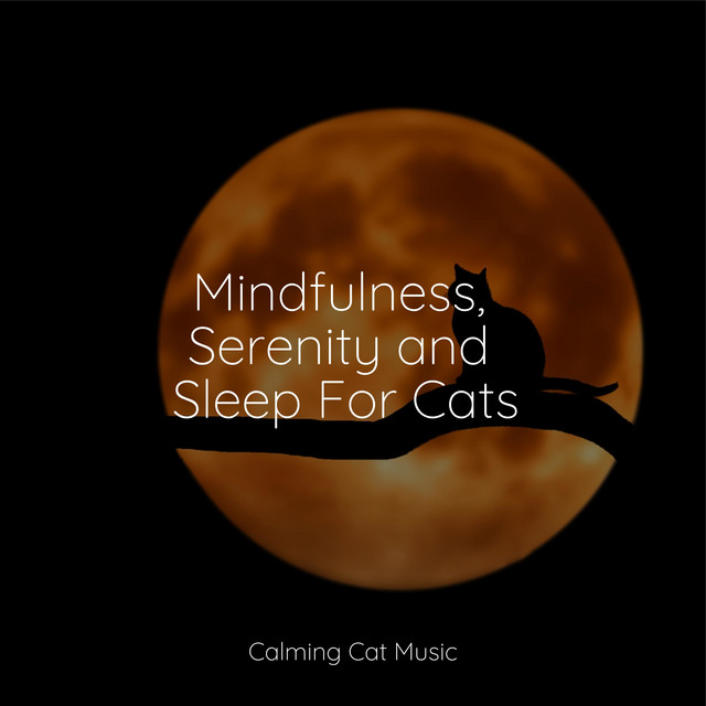 Mindfulness, Serenity and Sleep For Cats - Album by Calm Music for Cats ...