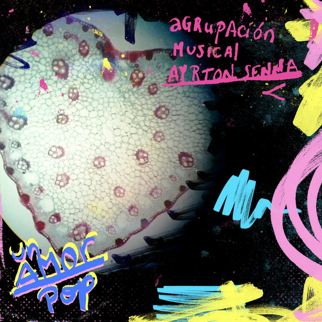Un Amor Pop cover art