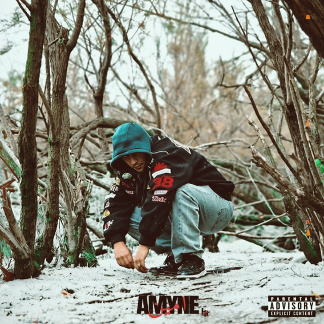 undefined album image
