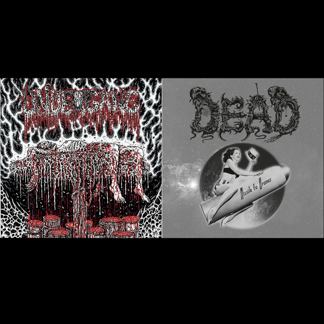 undefined album image