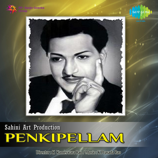 Penkipellam cover art