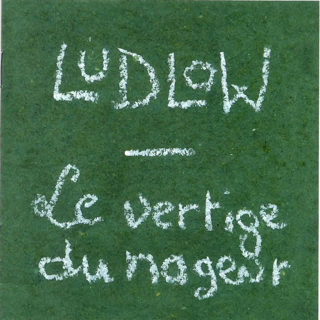Le vertige du nageur cover art