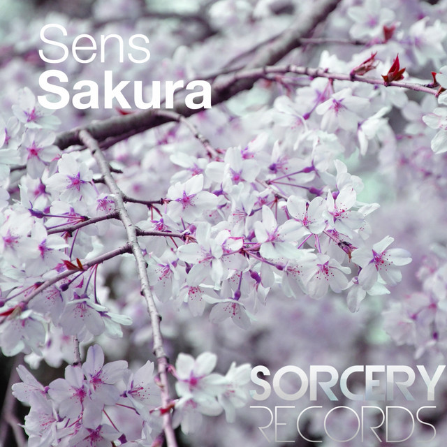 Sakura cover art