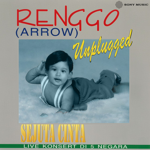 Sejuta Cinta (Unplugged Renggo Arrow) cover art