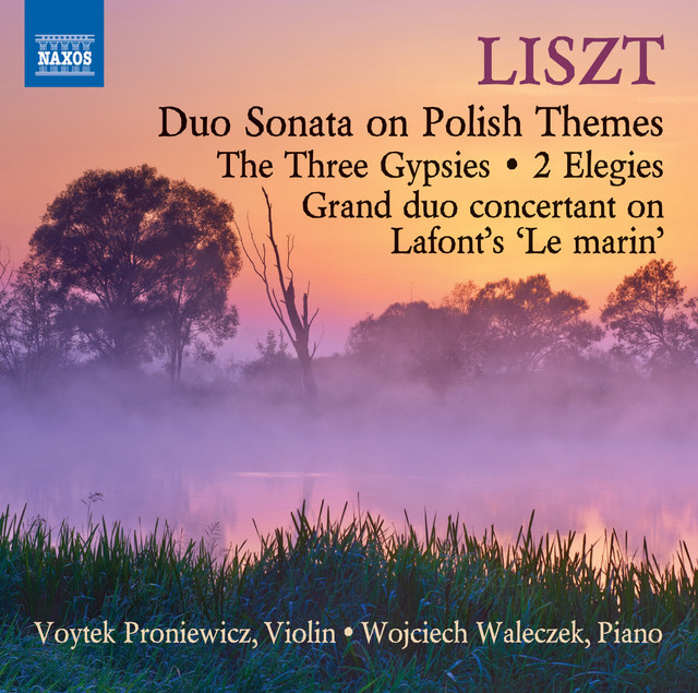 Duo Sonata, S. 127: I. Moderato cover art