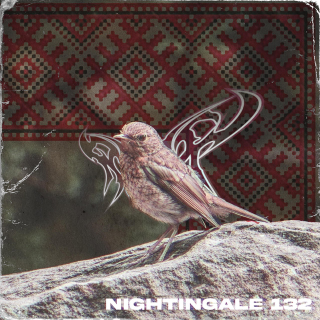 Обкладинка: Nightingale132 — RMSX