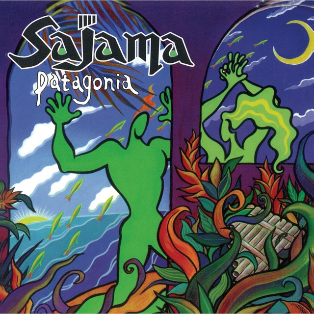 Patagonia cover art