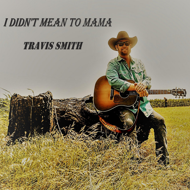 I Didn't Mean to Mama cover