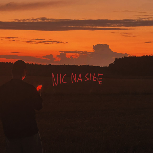 nic na siłę cover art