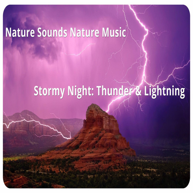 Rhythms: Thunderstorm(中古品) Nature's